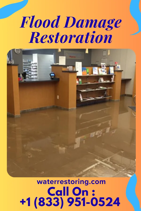 Flood Damage Restoration in Jupiter Island, FL